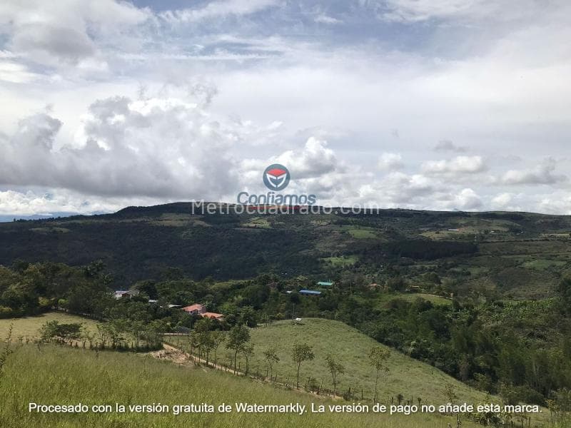 Foto de la propiedad