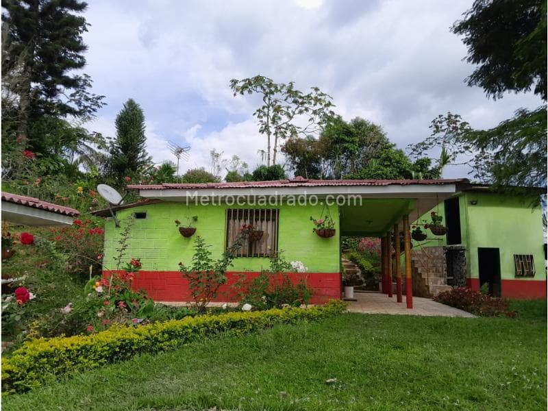Foto de la propiedad
