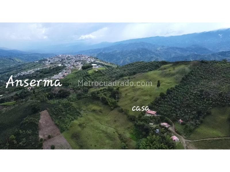 Foto de la propiedad