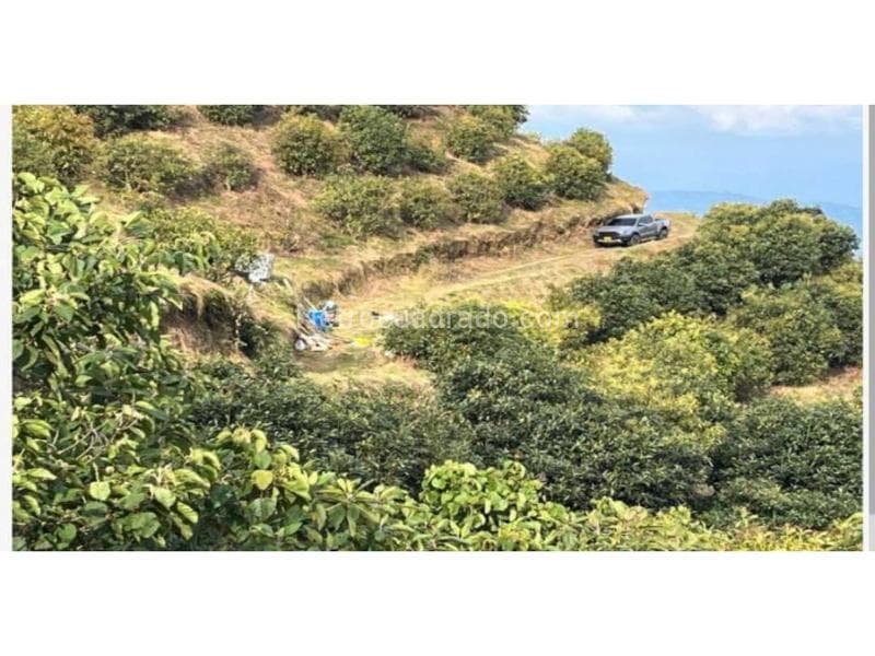 Foto de la propiedad