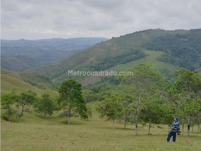 Foto de la propiedad