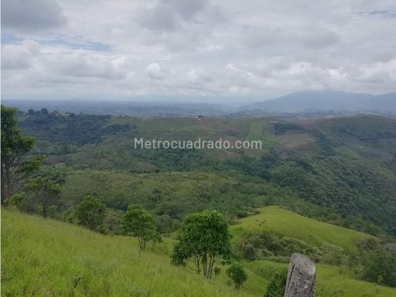 Foto de la propiedad