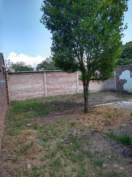 Foto de la propiedad