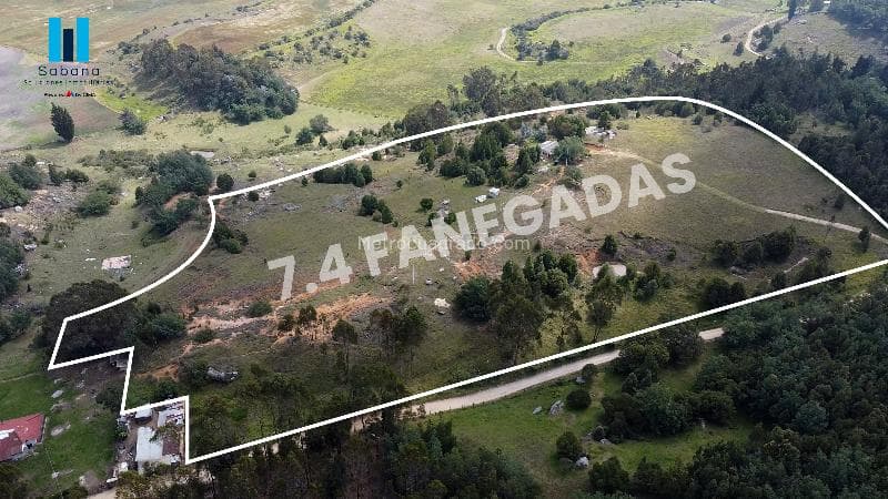 Foto de la propiedad