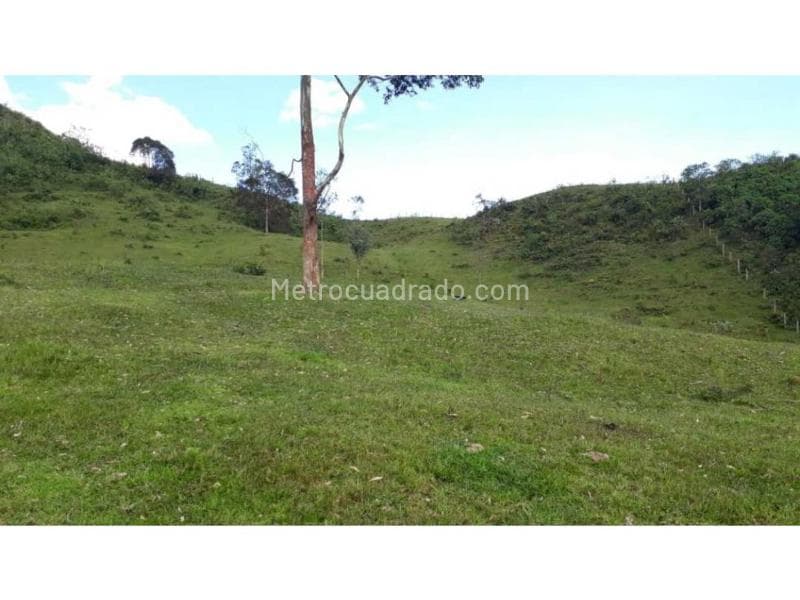 Foto de la propiedad