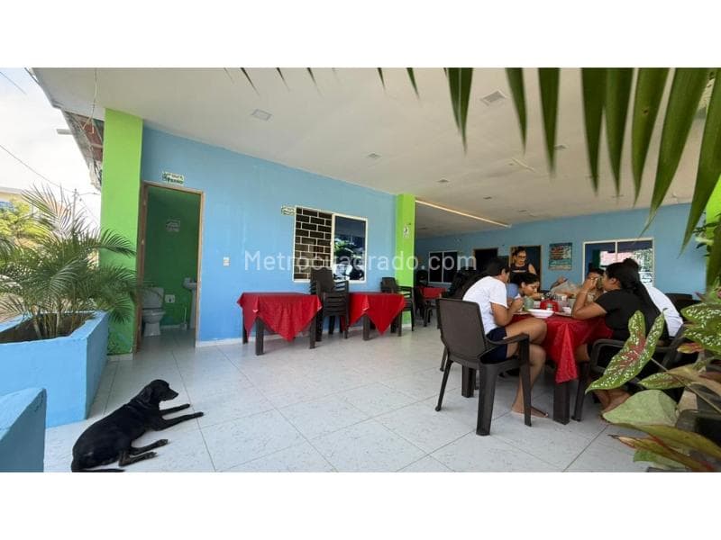 Foto de la propiedad