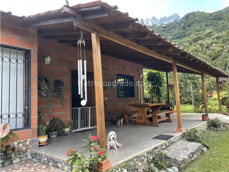 Foto de la propiedad