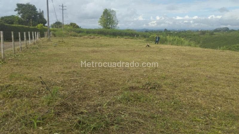 Foto de la propiedad