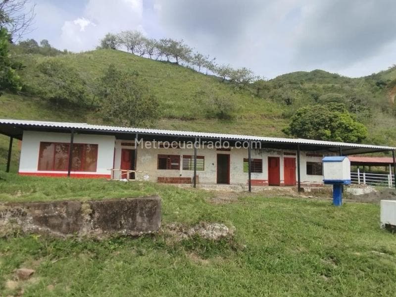 Foto de la propiedad