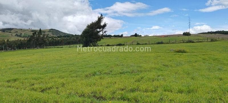 Foto de la propiedad