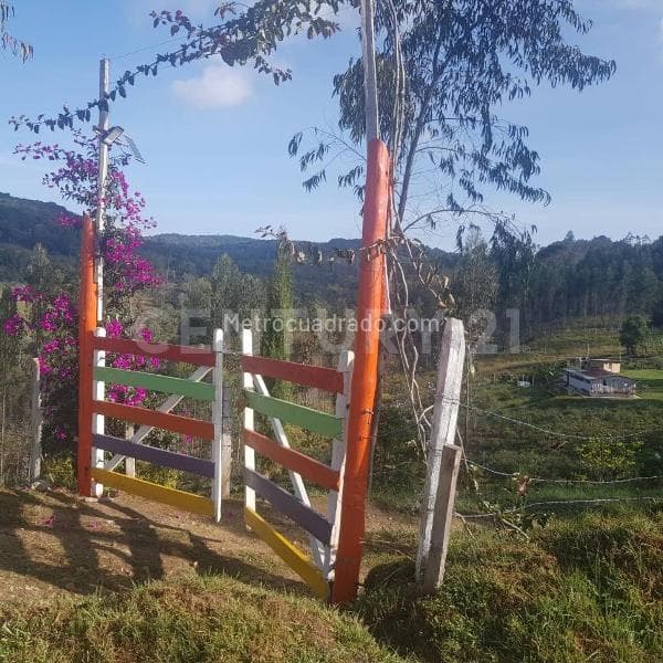 Foto de la propiedad