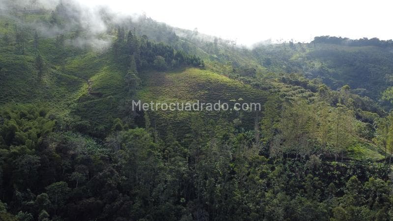 Foto de la propiedad
