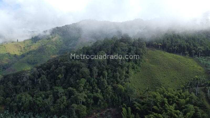 Foto de la propiedad