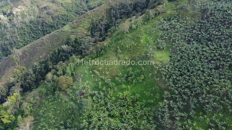 Foto de la propiedad