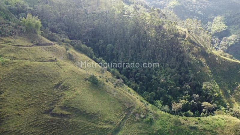 Foto de la propiedad