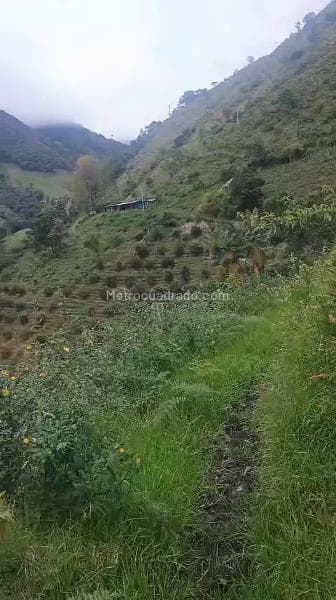 Foto de la propiedad