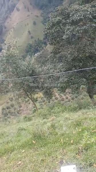 Foto de la propiedad