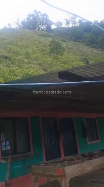 Foto de la propiedad