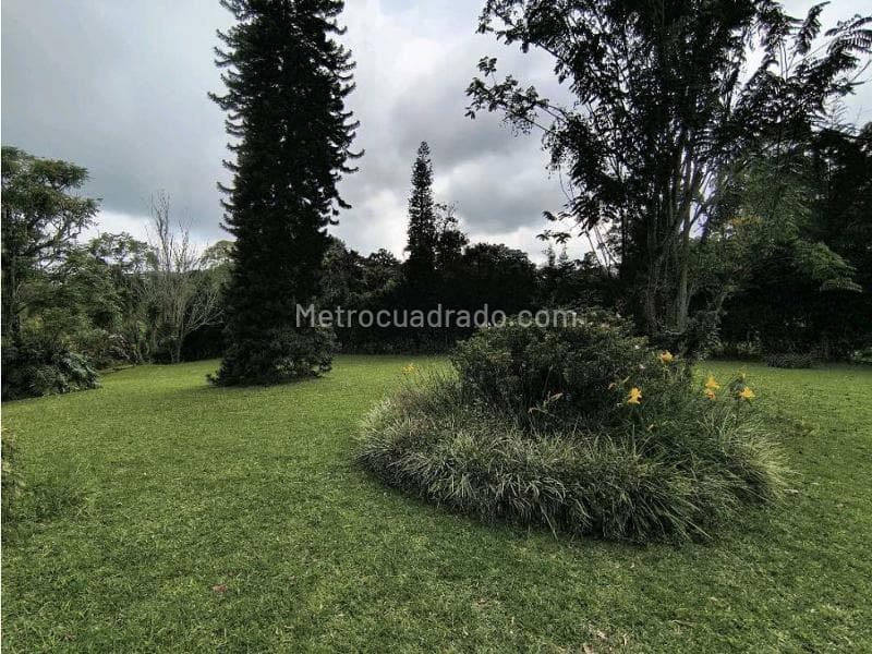 Foto de la propiedad