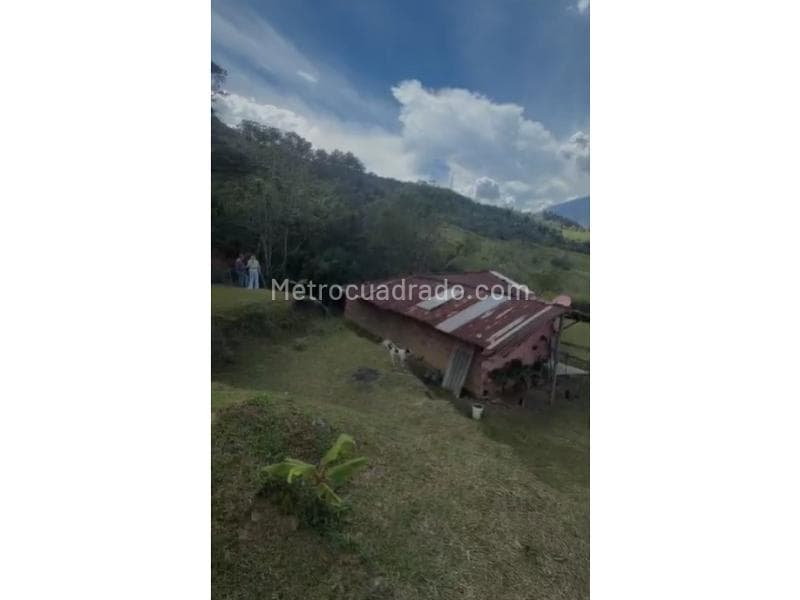 Foto de la propiedad