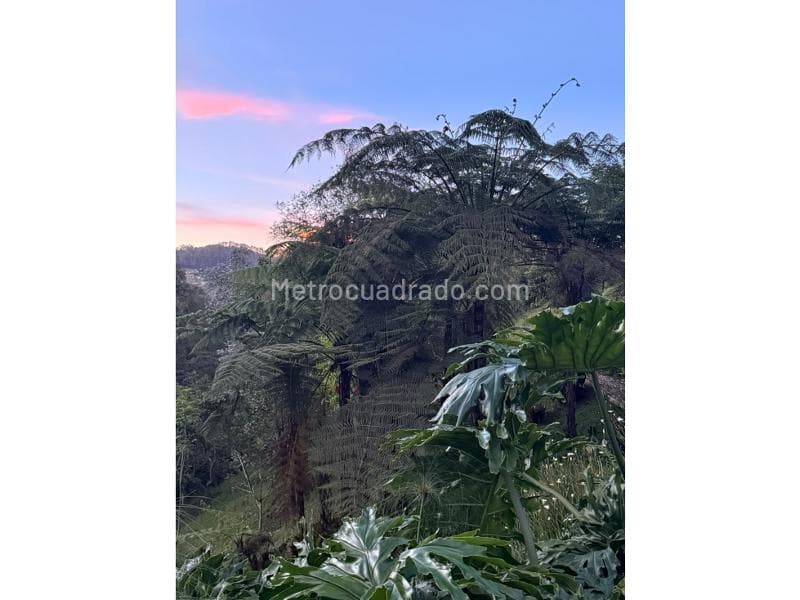 Foto de la propiedad