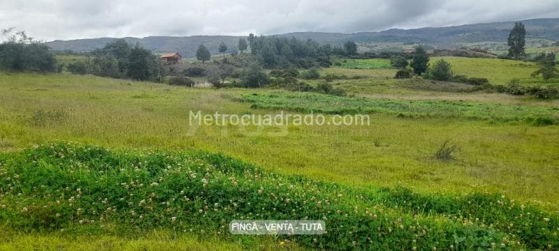 Foto de la propiedad
