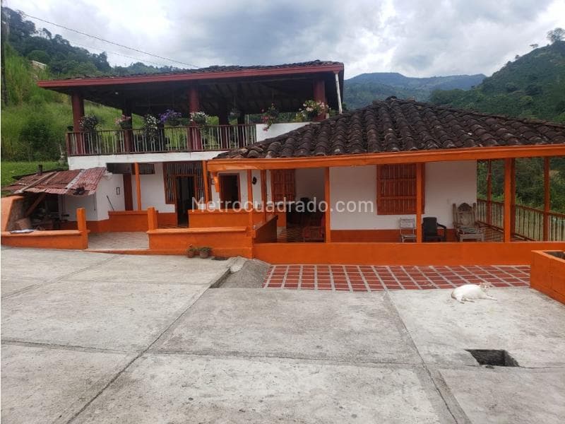 Foto de la propiedad
