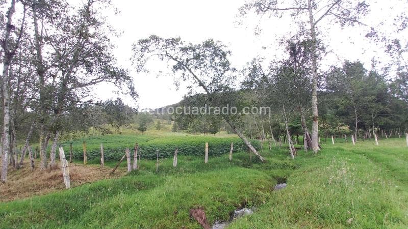 Foto de la propiedad
