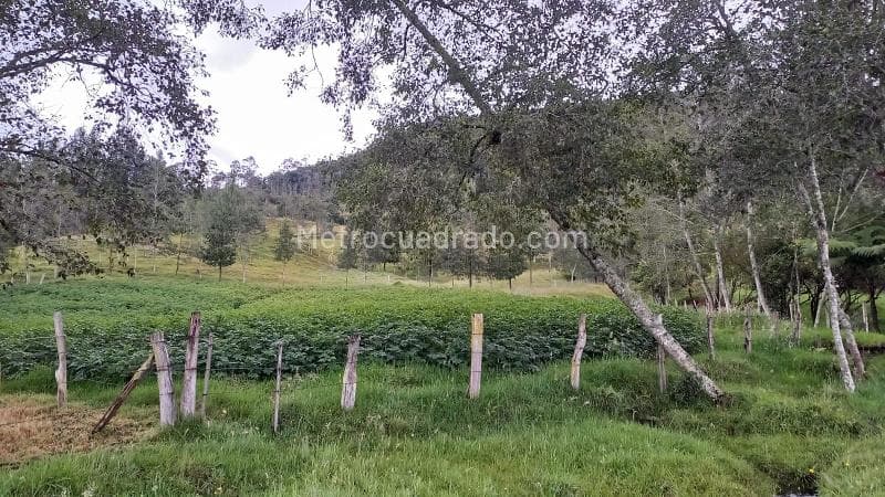 Foto de la propiedad