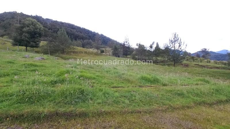 Foto de la propiedad