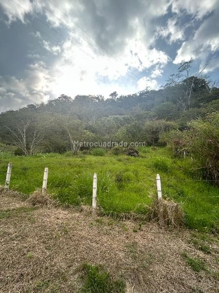 Foto de la propiedad