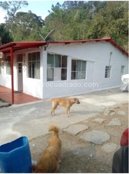 Foto de la propiedad