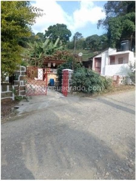 Foto de la propiedad