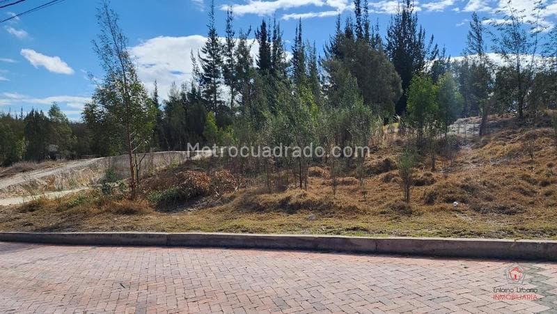 Mirador de Andalucía, Tunja, Centro, Boyacá, RAP (Especial) Central, 150003, Colombia