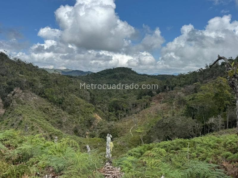 Foto de la propiedad