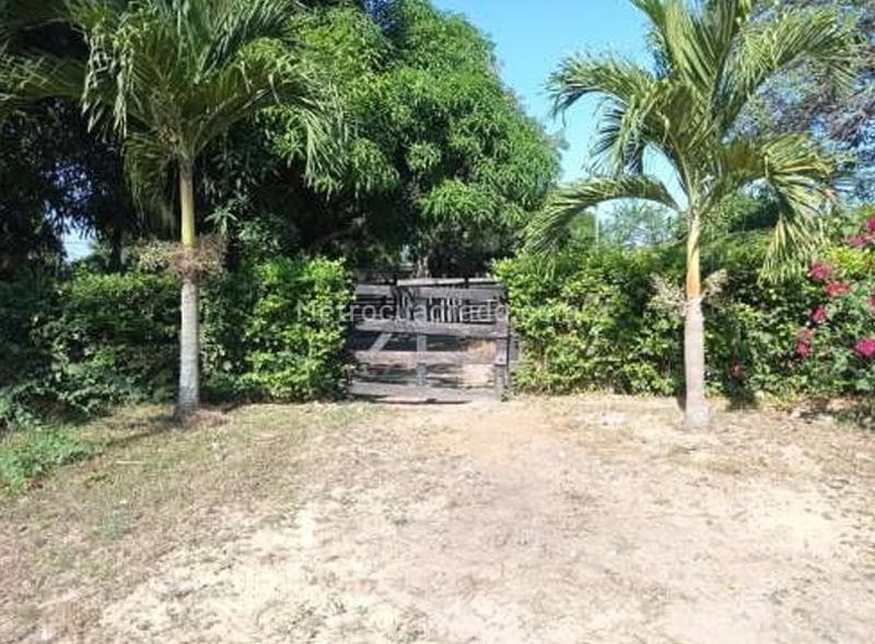 Foto de la propiedad