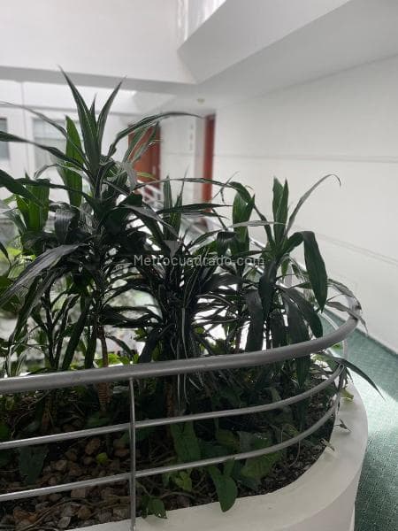 Apartamento en Chico Norte Ii Sector, Chapinero
