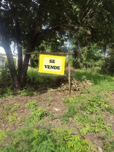 Foto de la propiedad