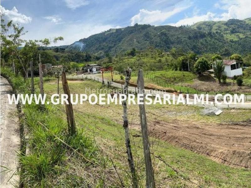 Foto de la propiedad