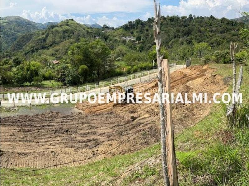 Foto de la propiedad