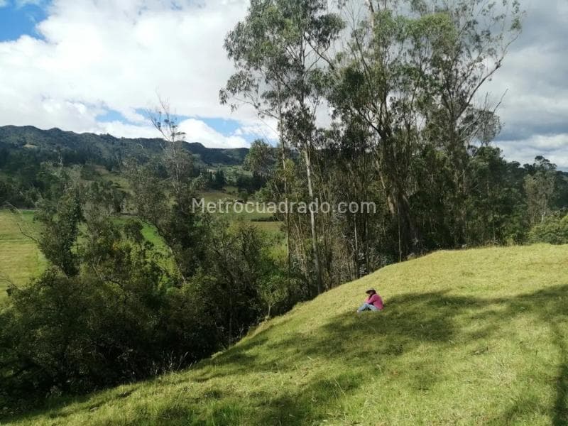 Foto de la propiedad