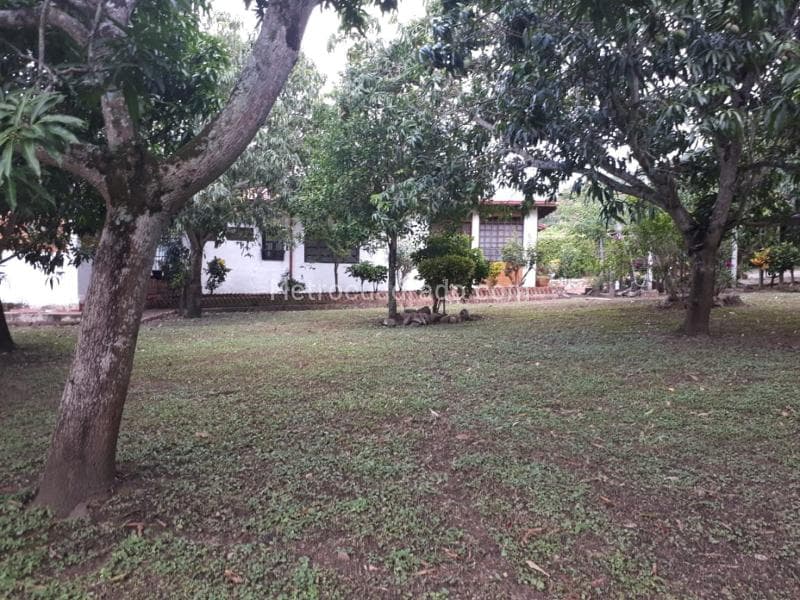 Foto de la propiedad