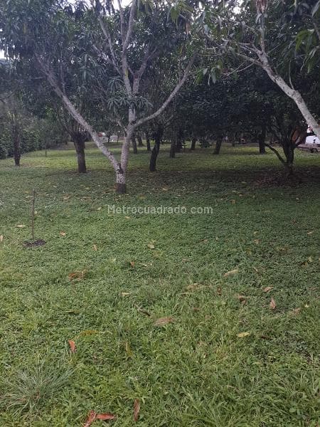 Foto de la propiedad