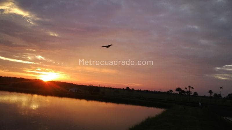 Foto de la propiedad