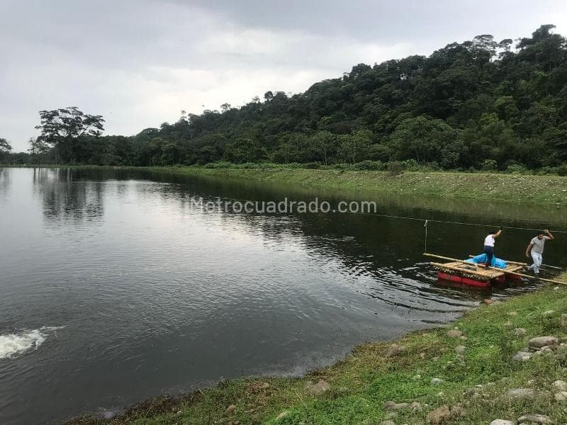 Foto de la propiedad