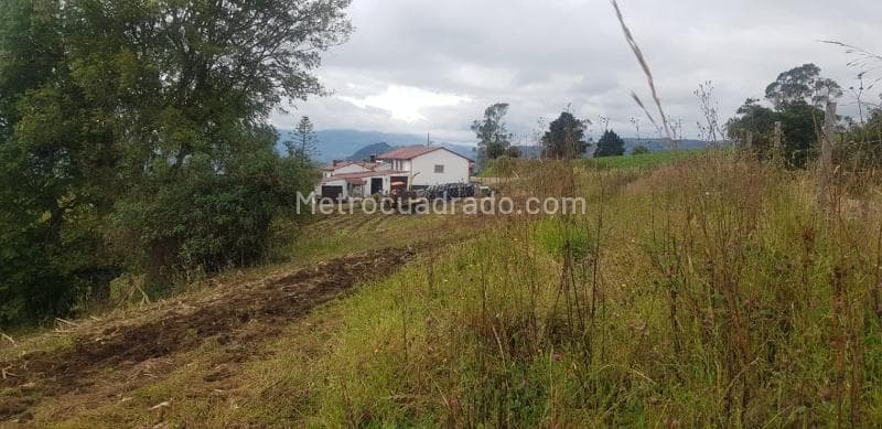 Foto de la propiedad