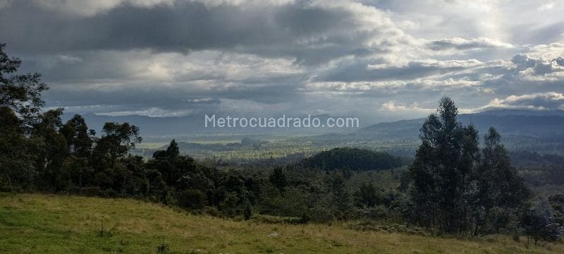 Foto de la propiedad