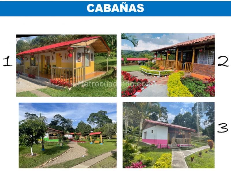 Foto de la propiedad