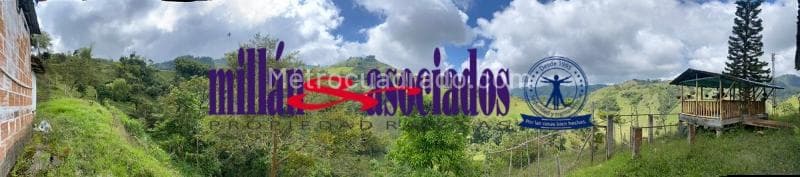 Foto de la propiedad