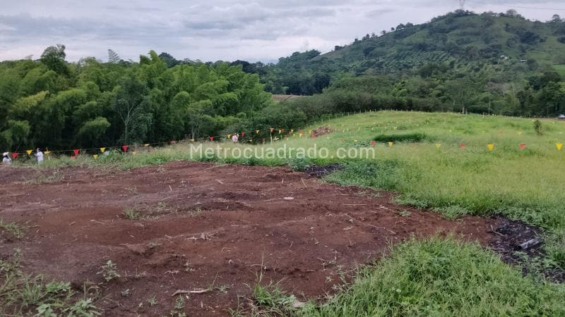 Foto de la propiedad